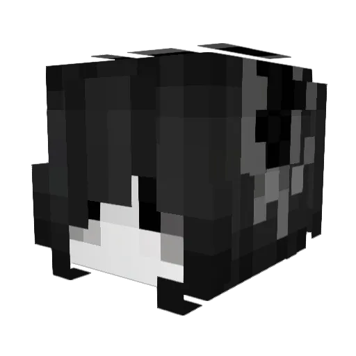 anuhiggy Minecraft avatar head, 3D render