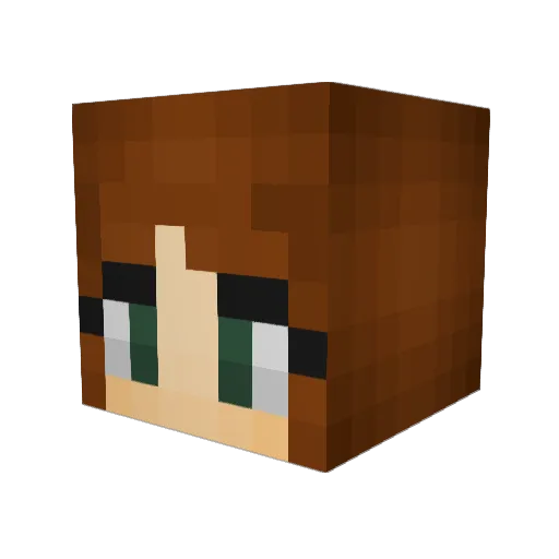 anusia224 Minecraft avatar head, 3D render