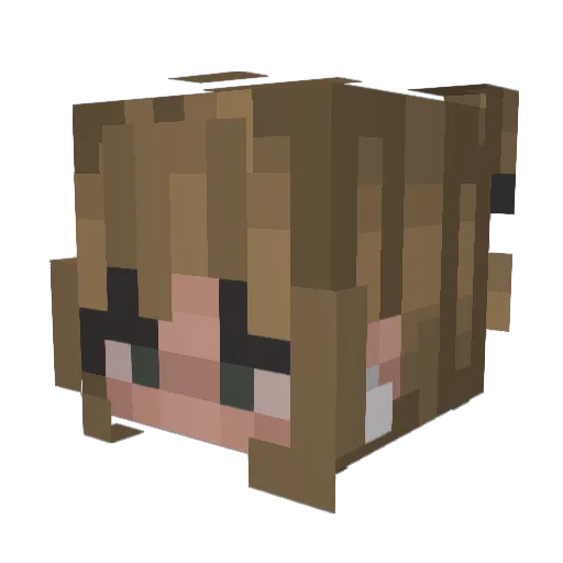 anx1ous Minecraft avatar head, 3D render