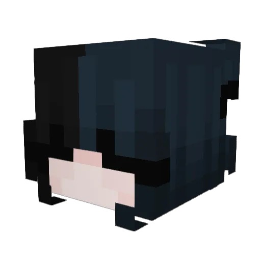 anxia Minecraft avatar head, 3D render