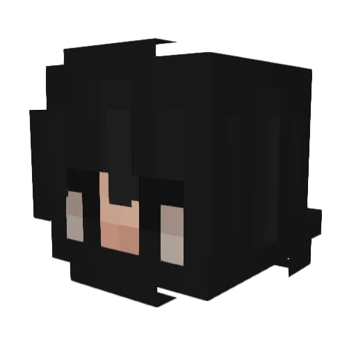 anxious0 Minecraft avatar head, 3D render