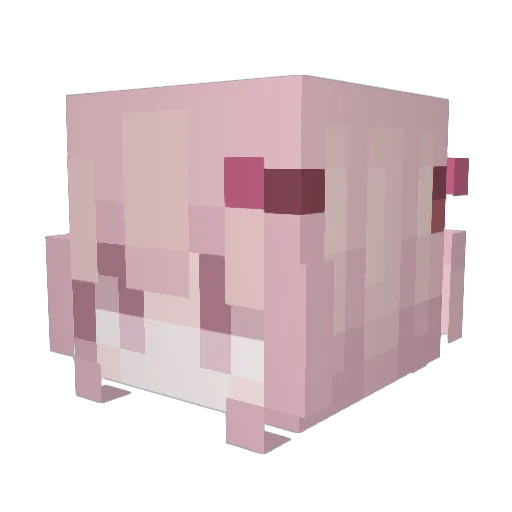 anxious_owl27 Minecraft avatar head, 3D render