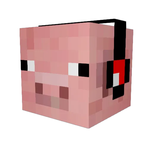 any9999 Minecraft avatar head, 3D render