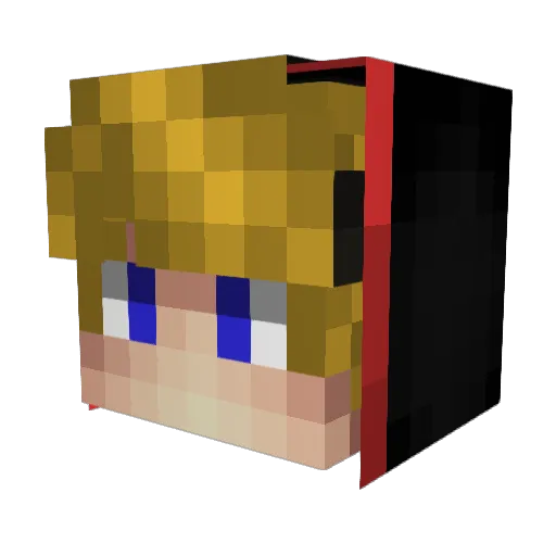 anySigma Minecraft avatar head, 3D render