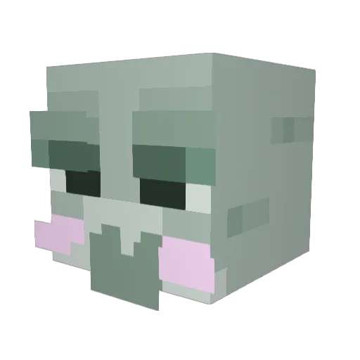 anyalaa Minecraft avatar head, 3D render