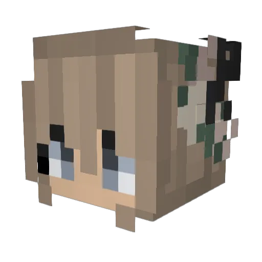 anyanoelle Minecraft avatar head, 3D render