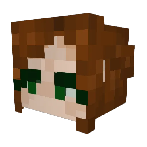 anyarg88 Minecraft avatar head, 3D render