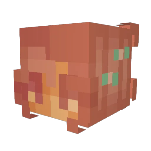 anyeet Minecraft avatar head, 3D render