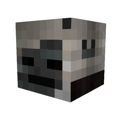 anymeans Minecraft avatar head, 3D render