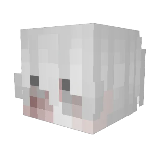 anymwre Minecraft avatar head, 3D render