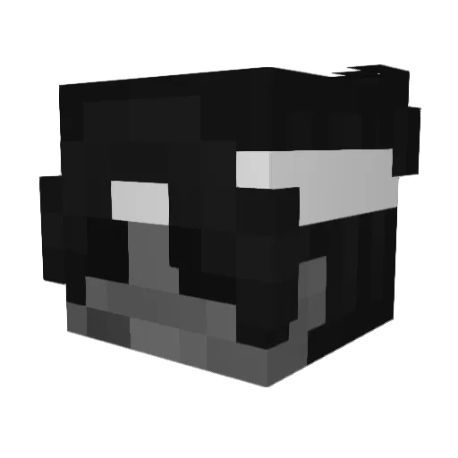 anynomous404 Minecraft avatar head, 3D render