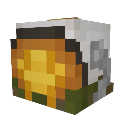 anyodyne Minecraft avatar head, 3D render