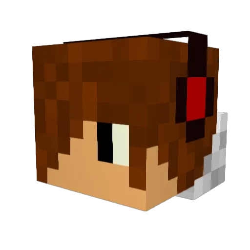 anyoneoutthere Minecraft avatar head, 3D render