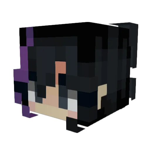 anysova Minecraft avatar head, 3D render