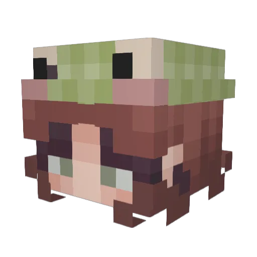 anyssatokki Minecraft avatar head, 3D render