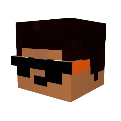 anything__ Minecraft avatar head, 3D render