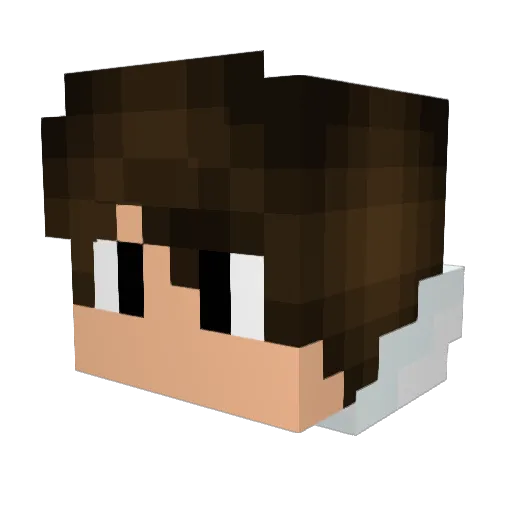 anywhere02 Minecraft avatar head, 3D render