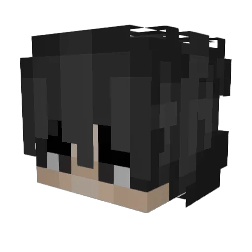 ao_i_ Minecraft avatar head, 3D render