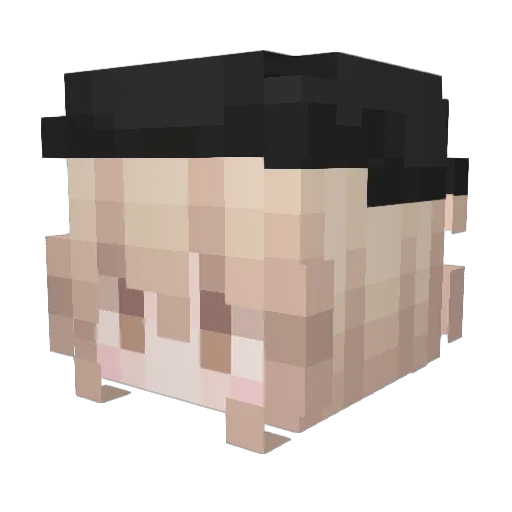 aodiaod Minecraft avatar head, 3D render