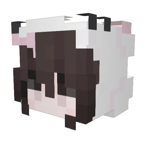 aom0202 Minecraft avatar head, 3D render