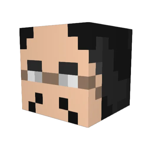 aoneg1 Minecraft avatar head, 3D render