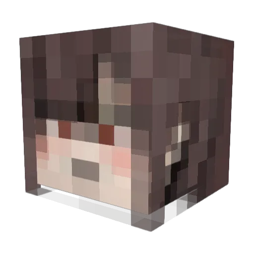aoneko906 Minecraft avatar head, 3D render