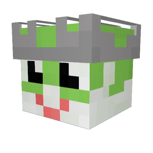 aonmtp Minecraft avatar head, 3D render