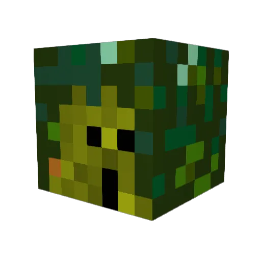 aooa0909 Minecraft avatar head, 3D render
