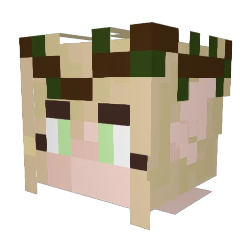 aoreally Minecraft avatar head, 3D render