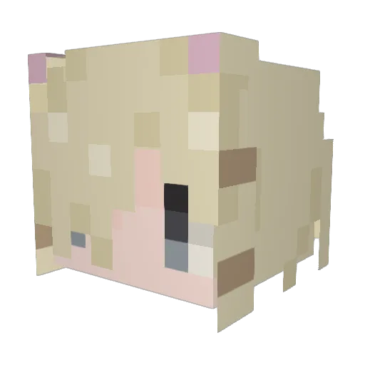 aorngo Minecraft avatar head, 3D render