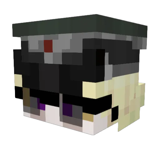aortainfection Minecraft avatar head, 3D render