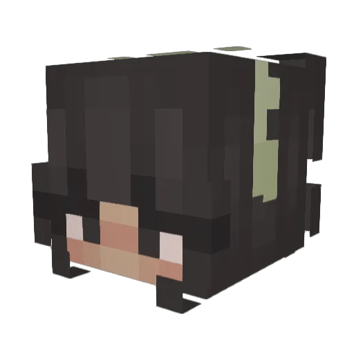 aowid Minecraft avatar head, 3D render