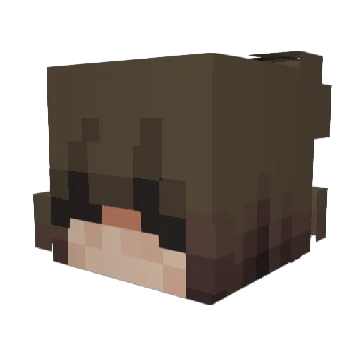 ap0yusiken Minecraft avatar head, 3D render