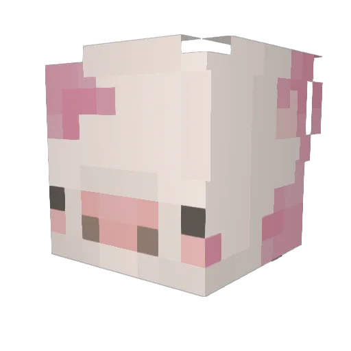 apanspelar00 Minecraft avatar head, 3D render