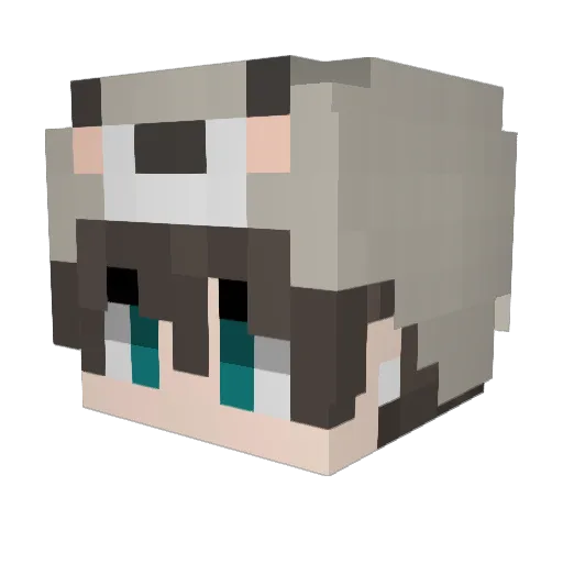 aparebii Minecraft avatar head, 3D render