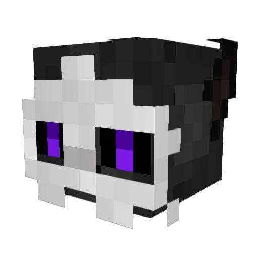 apathy__ Minecraft avatar head, 3D render