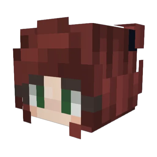 apeel Minecraft avatar head, 3D render