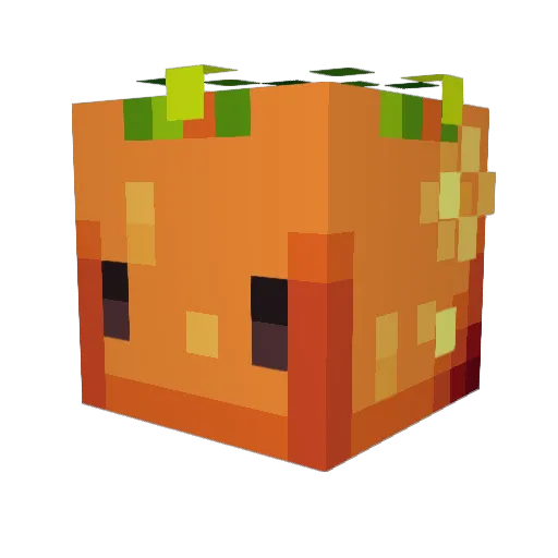 apelisinchik Minecraft avatar head, 3D render