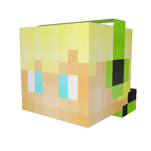 apenkop9804 Minecraft avatar head, 3D render