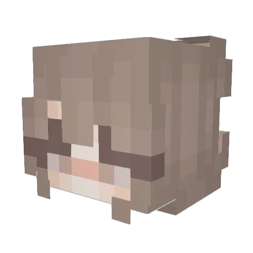 aperire21 Minecraft avatar head, 3D render