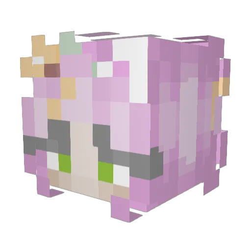 aph_eats_bugs Minecraft avatar head, 3D render
