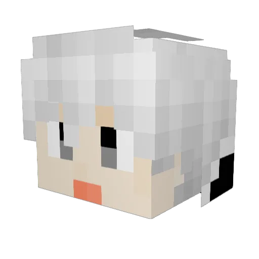 api624 Minecraft avatar head, 3D render