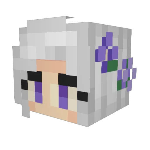 apiasecka Minecraft avatar head, 3D render