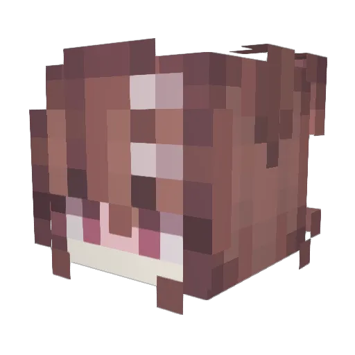 apisu13 Minecraft avatar head, 3D render
