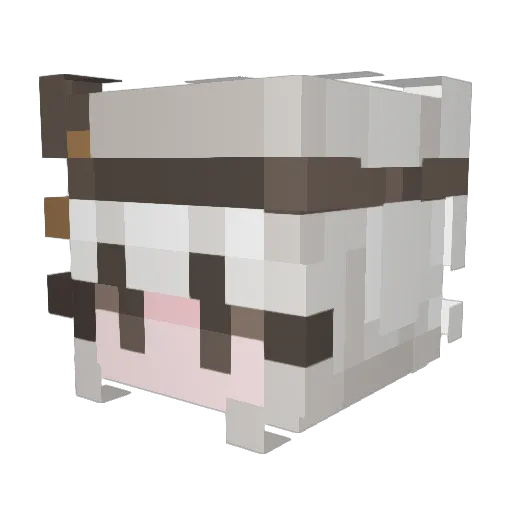 aplestjuice Minecraft avatar head, 3D render