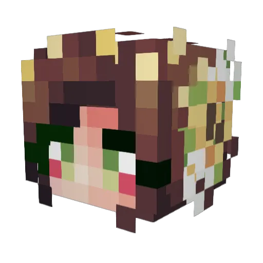apocketpssy Minecraft avatar head, 3D render