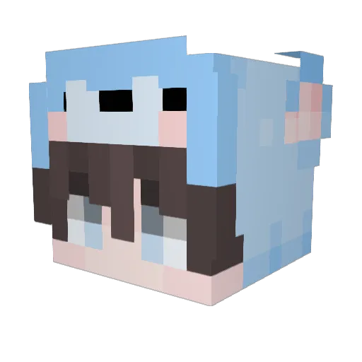 apollo_2x Minecraft avatar head, 3D render
