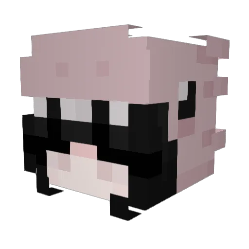 apollo_ire Minecraft avatar head, 3D render