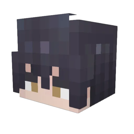 apollon6208 Minecraft avatar head, 3D render