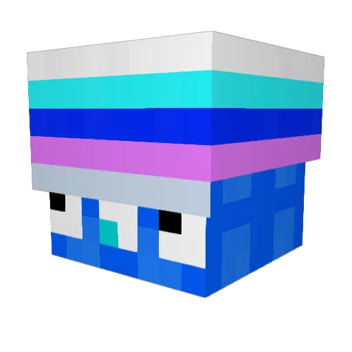aposhsocool Minecraft avatar head, 3D render